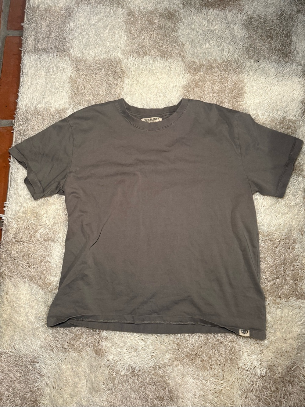 Free Planet Relaxed Crewneck T-Shirt in Gray